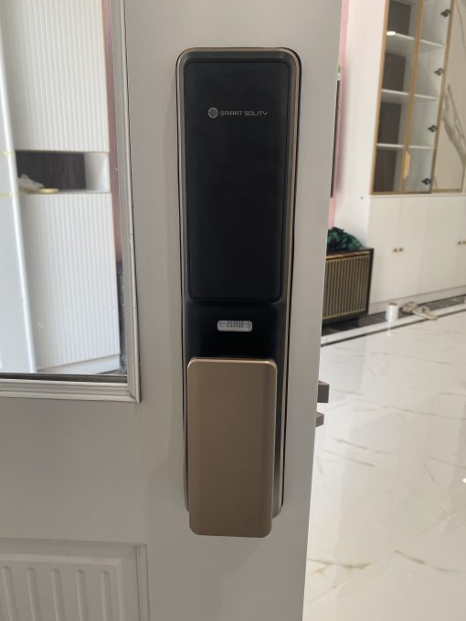 Khoá cửa điện tử nhận diện khuôn mặt Solity GP-6000BAK 5 z4355093324434 9d11b4162c0039b48ca5f8c84c385581