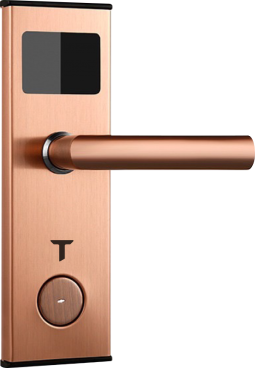 h1 dong 1 600x867 1