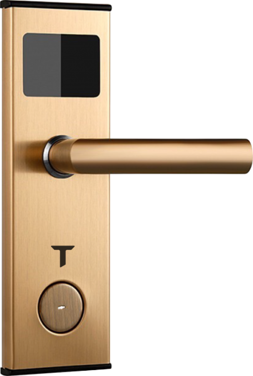 h1 vang 1 600x893 1