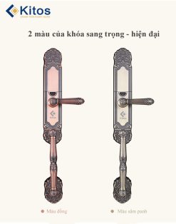 Khóa vân tay Kitos KT-C500 tân cổ điển 9 kitos c500 7