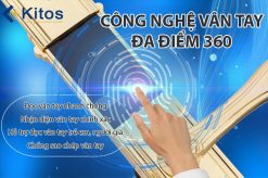 Khóa cửa vân tay tân cổ điển Kitos KT-C800 mạ vàng 24k 12 kitos kt c800 2
