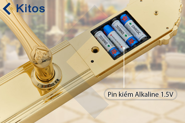 Khóa cửa vân tay tân cổ điển Kitos KT-C800 mạ vàng 24k 4 kitos kt c800 3