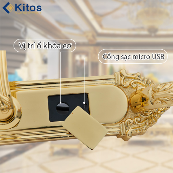 Khóa cửa vân tay tân cổ điển Kitos KT-C800 mạ vàng 24k 6 kitos kt c800 5