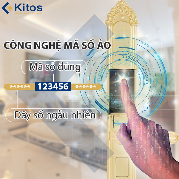 Khóa cửa vân tay tân cổ điển Kitos KT-C810 Golden 24k 2 kitos kt c810 1