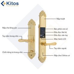 Khóa cửa vân tay tân cổ điển Kitos KT-C810 Golden 24k 12 kitos kt c810 4