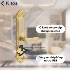 Khóa cửa vân tay tân cổ điển Kitos KT-C810 Golden 24k 14 kitos kt c810 6