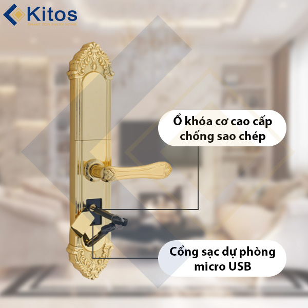 Khóa cửa vân tay tân cổ điển Kitos KT-C810 Golden 24k 7 kitos kt c810 6
