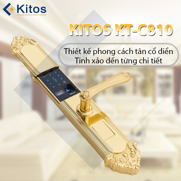 Khóa cửa vân tay tân cổ điển Kitos KT-C810 Golden 24k 8 kitos kt c810 7