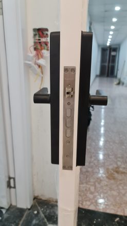Khóa vân tay Kaadas M5 thương hiệu Đức giá tốt nhất thị trường 12 z4940962554088 9d9daf9166b03ab92a401d8d91890b39